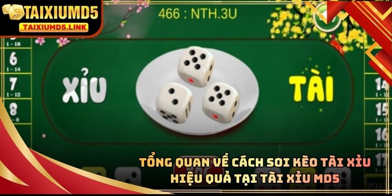Phân tích các con số giúp người chơi tìm ra quy luật tiềm ẩn phù hợp