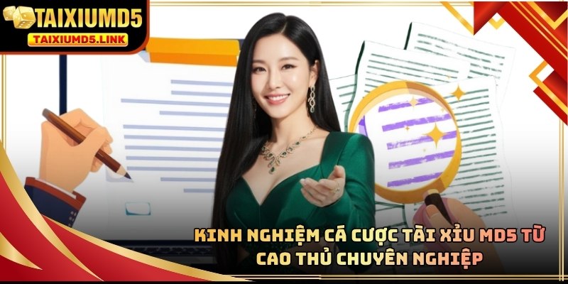 Kinh nghiệm cá cược từ cao thủ tài xỉu md5
